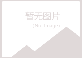 塔河县夏日化学有限公司